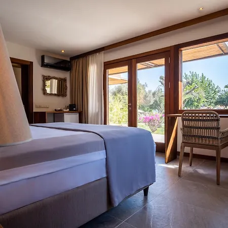 Xuma 住宿加早餐酒店